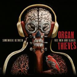 Organ Thieves : Somewhere Between Free Men and Slaves